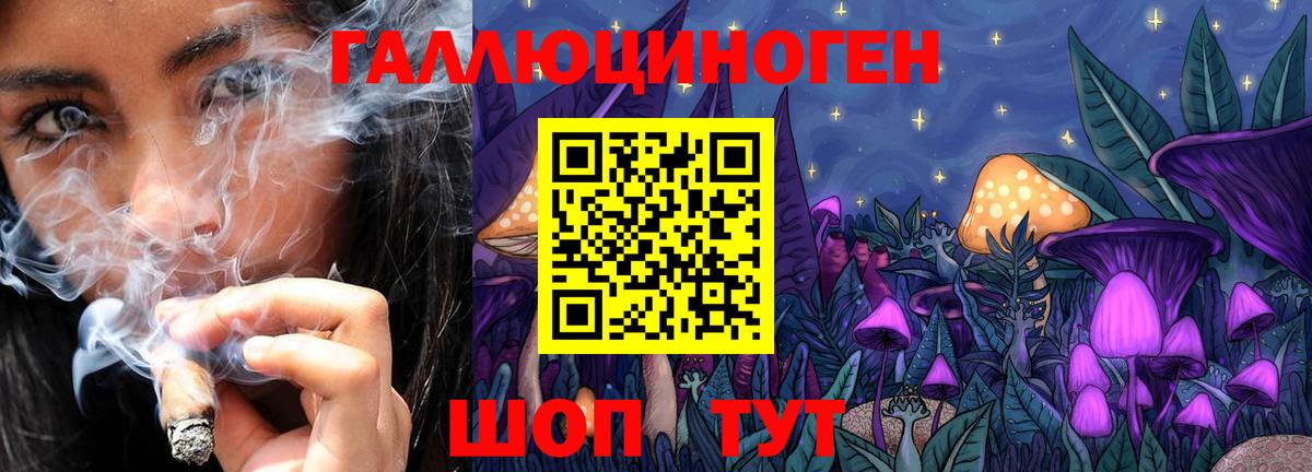 Галлюциногенные грибы Psilocybe  Вход с VPN  Ленинск-Кузнецкий 