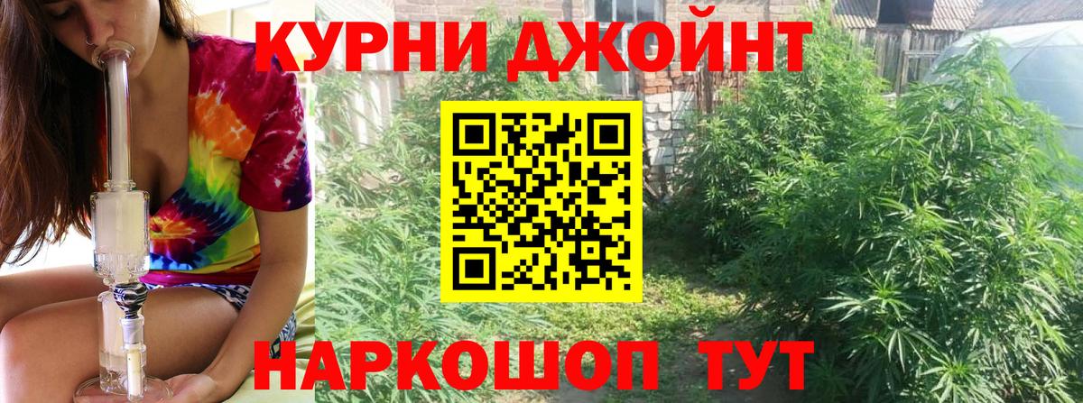 Ленинск-Кузнецкий  Марихуана ГИДРОПОН  Вход с VPN  Конопля индика  Каннабис White Widow 